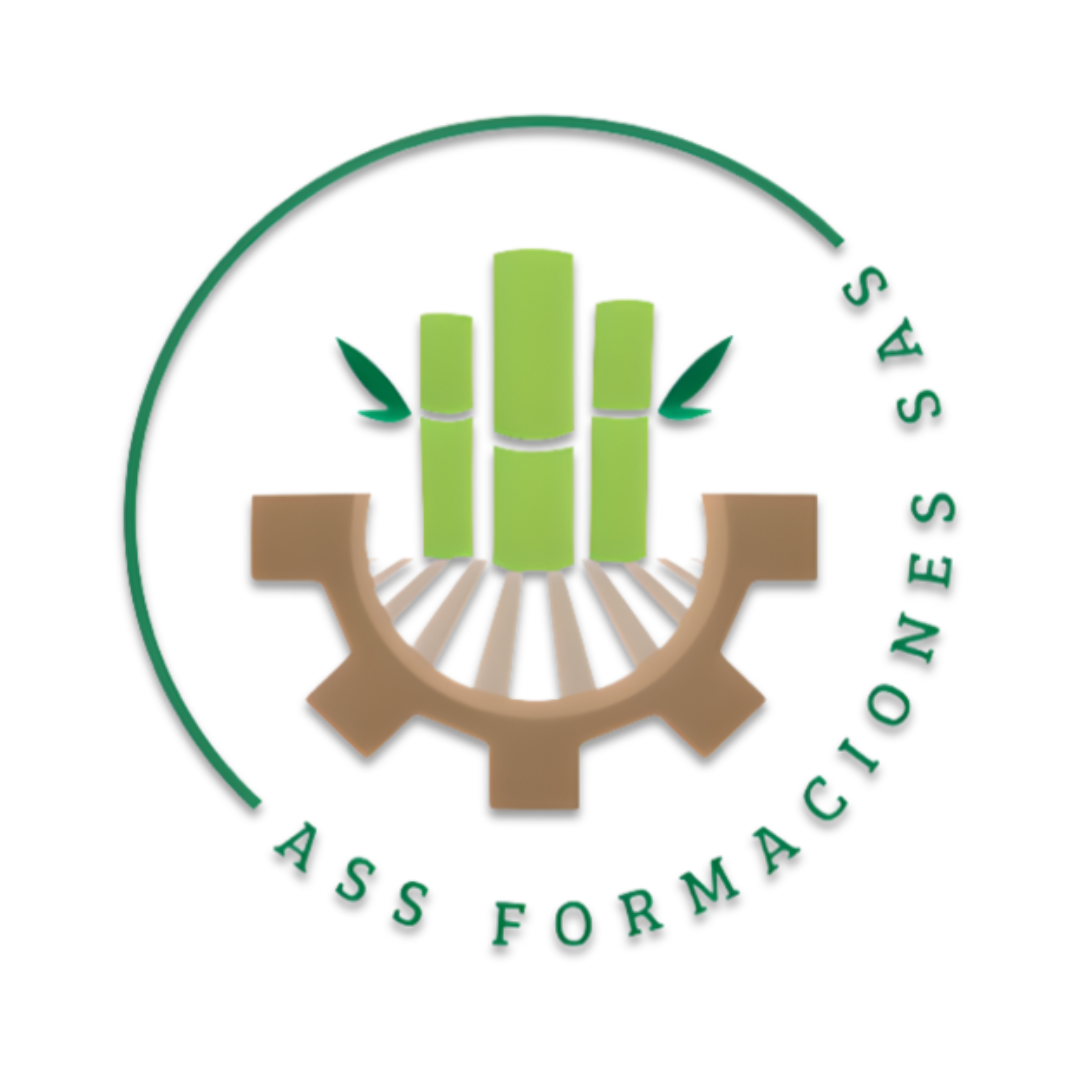 ASS FORMACIONES SAS