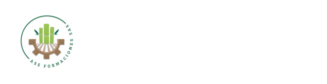 ASS FORMACIONES SAS